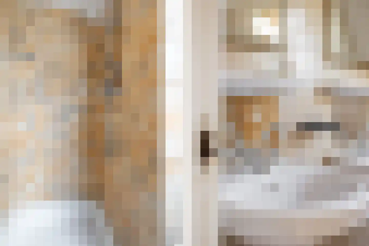Purmerenderweg 82 Zuidoostbeemster thumbnail 37