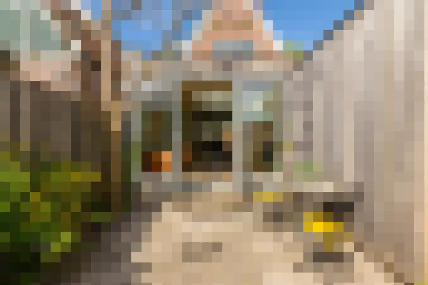 Purmerenderweg 82 Zuidoostbeemster thumbnail 41