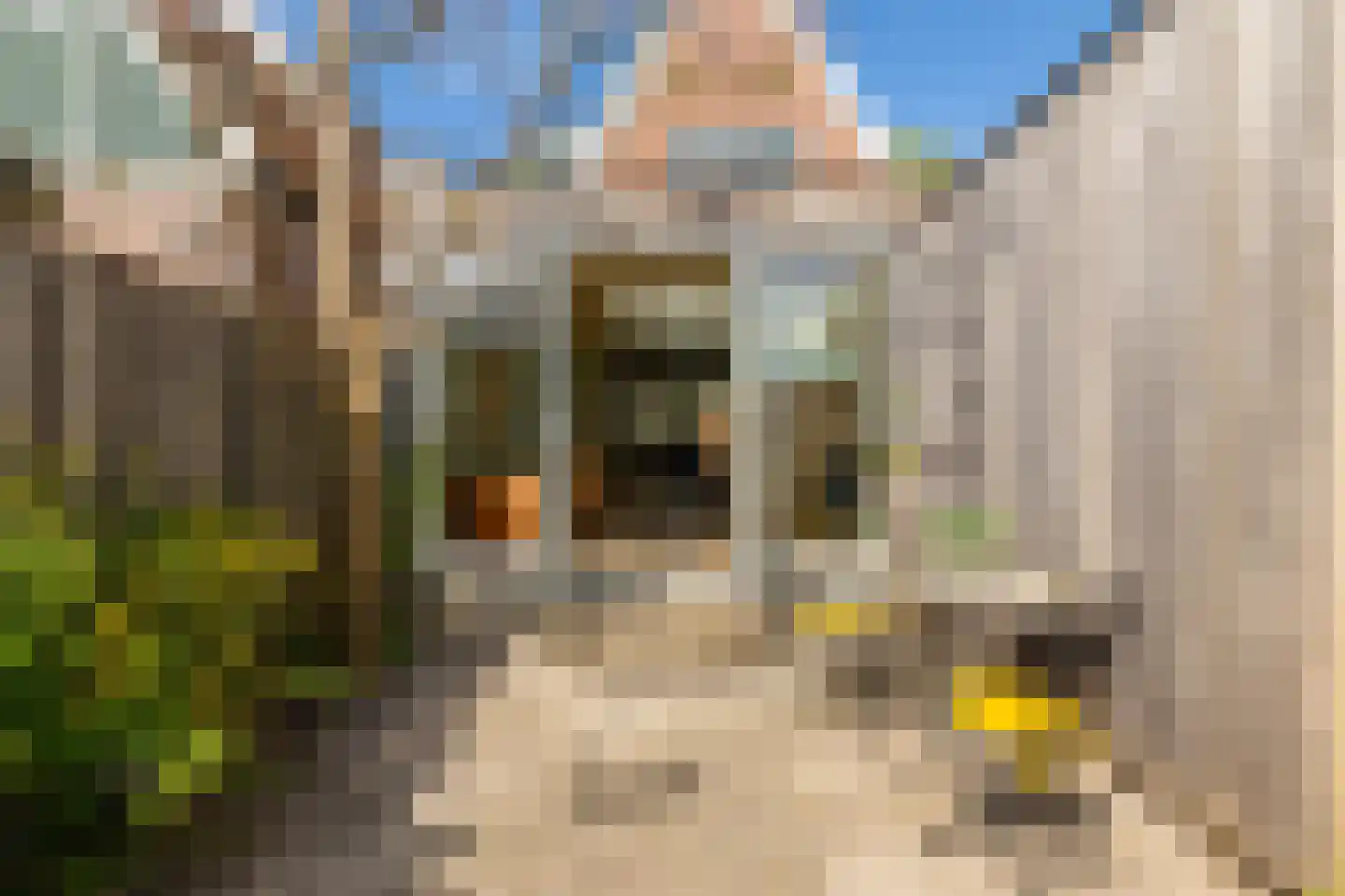 Purmerenderweg 82 Zuidoostbeemster thumbnail 41