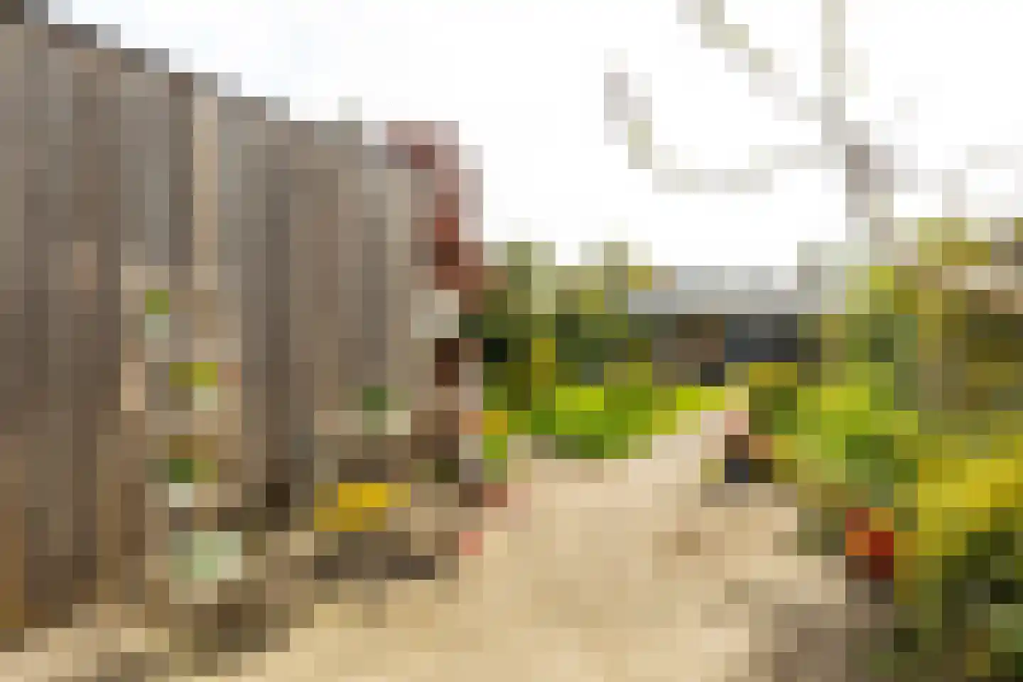 Purmerenderweg 82 Zuidoostbeemster thumbnail 6