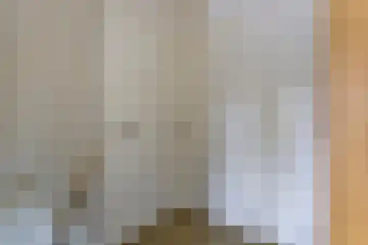 Purmerenderweg 84 Zuidoostbeemster thumbnail 19