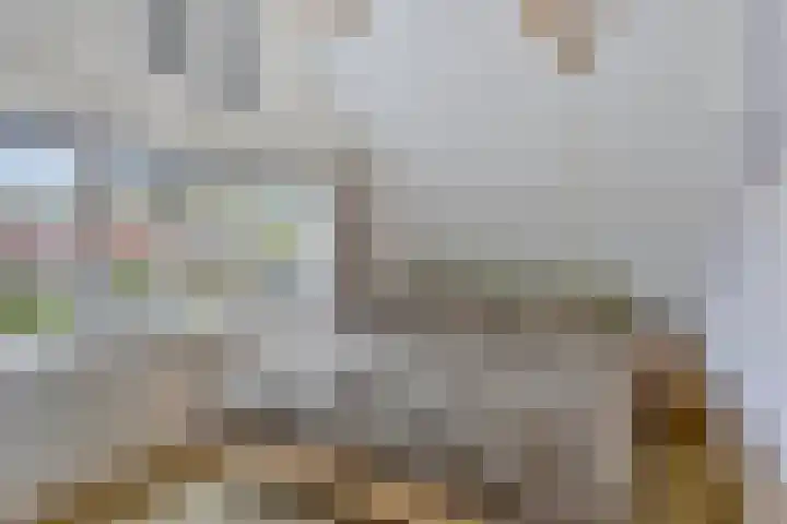 Purmerenderweg 84 Zuidoostbeemster thumbnail 20