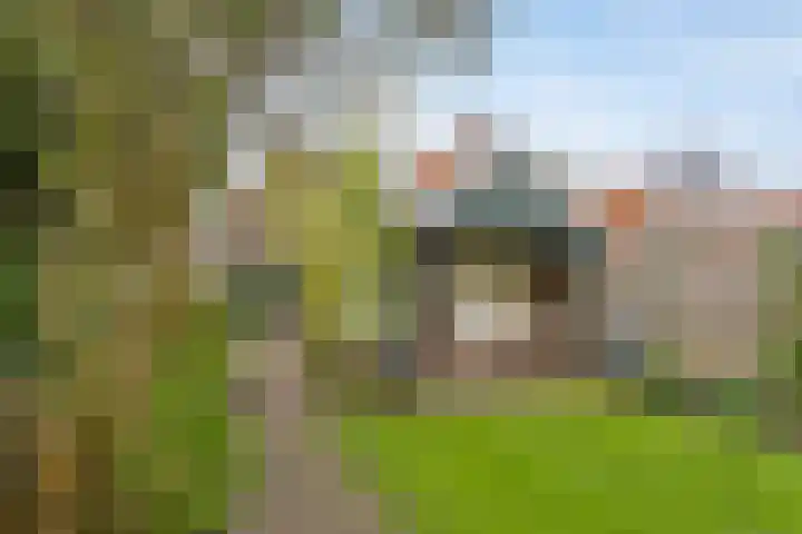 Purmerenderweg 84 Zuidoostbeemster thumbnail 28