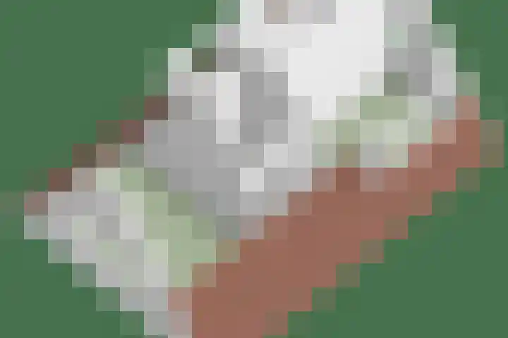 Purmerenderweg 84 Zuidoostbeemster thumbnail 34