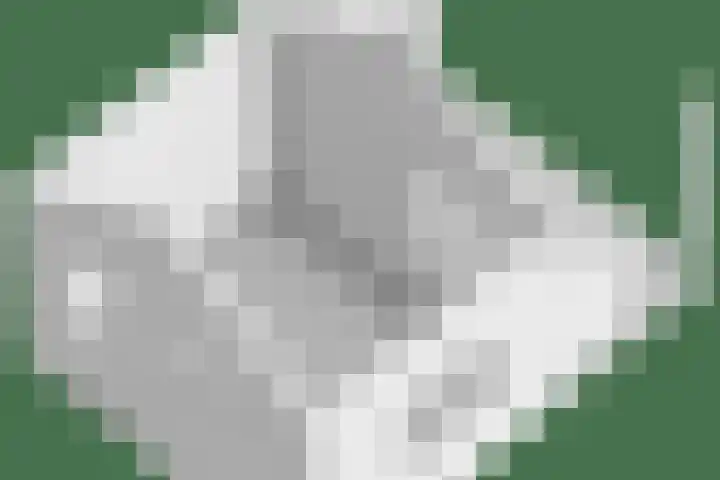 Purmerenderweg 84 Zuidoostbeemster thumbnail 36
