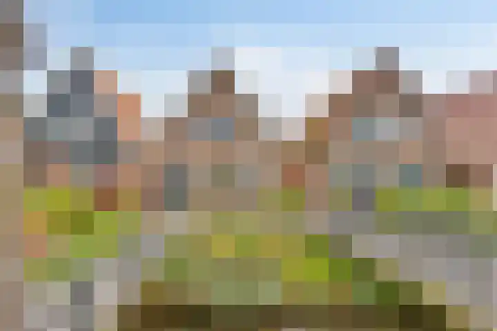Purmerenderweg 84 Zuidoostbeemster thumbnail 7