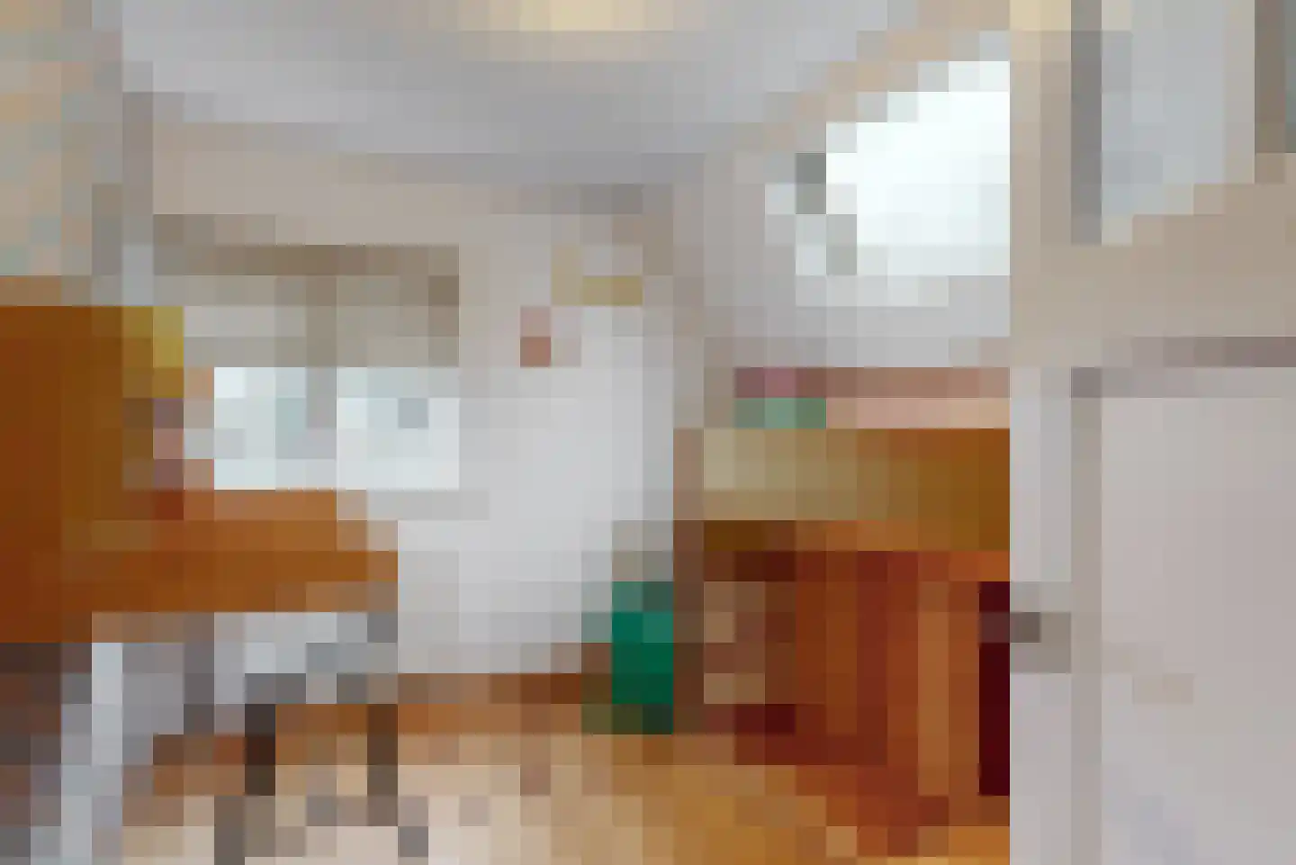 Purmerenderweg 85 Zuidoostbeemster thumbnail 18