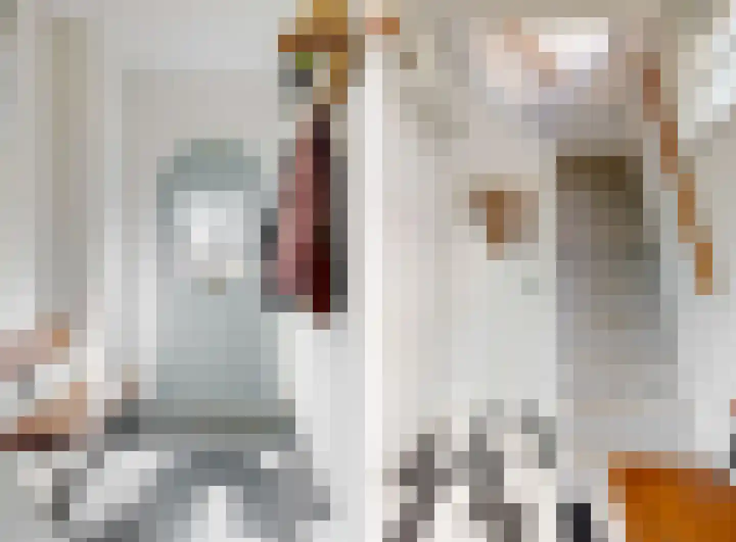 Purmerenderweg 85 Zuidoostbeemster thumbnail 4