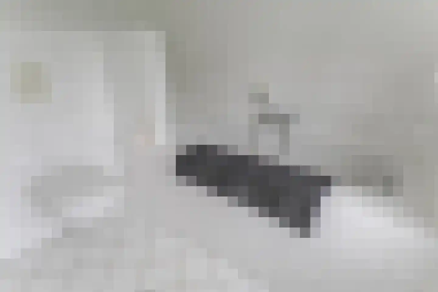 Purmerenderweg 89 Zuidoostbeemster thumbnail 33