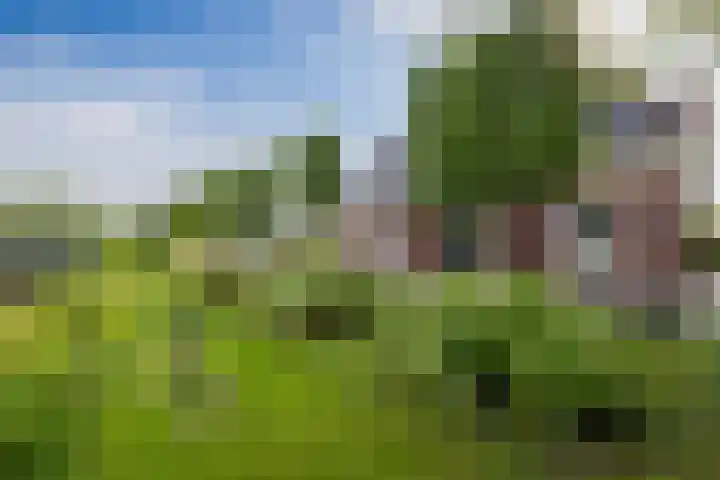 Purmerland 21 Purmerend thumbnail 13