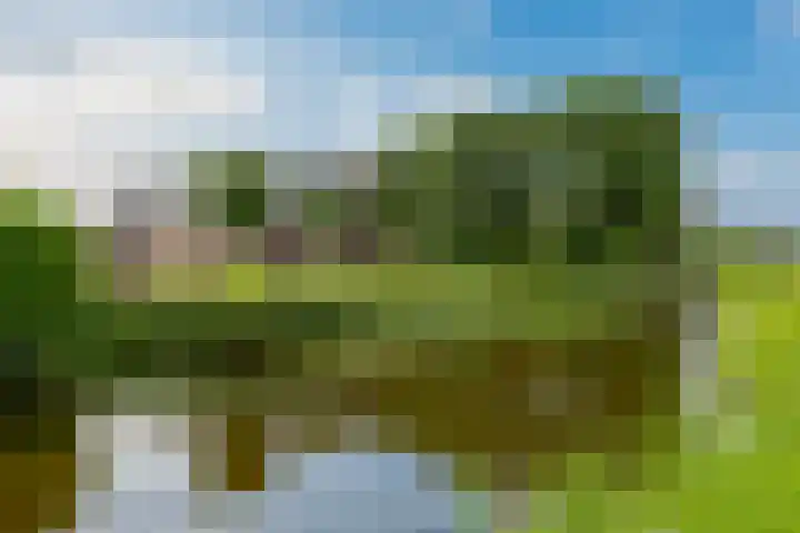 Purmerland 21 Purmerend thumbnail 15