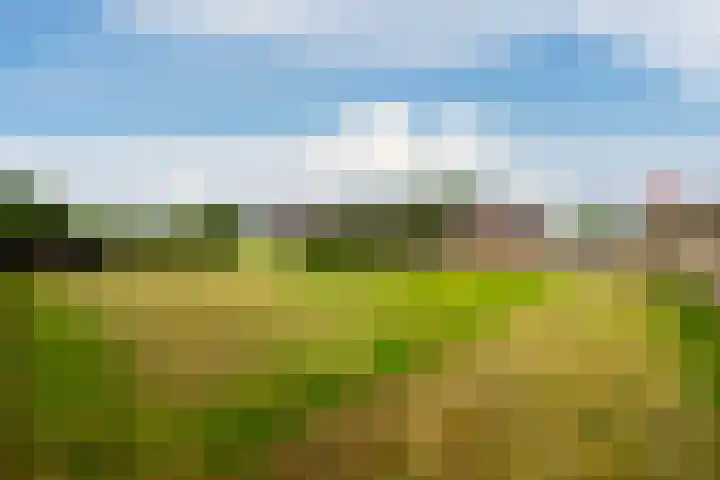 Purmerland 21 Purmerend thumbnail 4