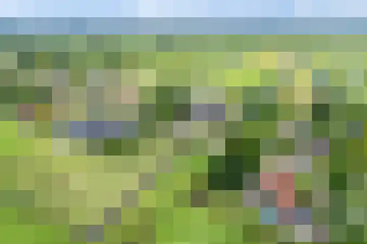 Purmerland 99 A Purmerland thumbnail 46
