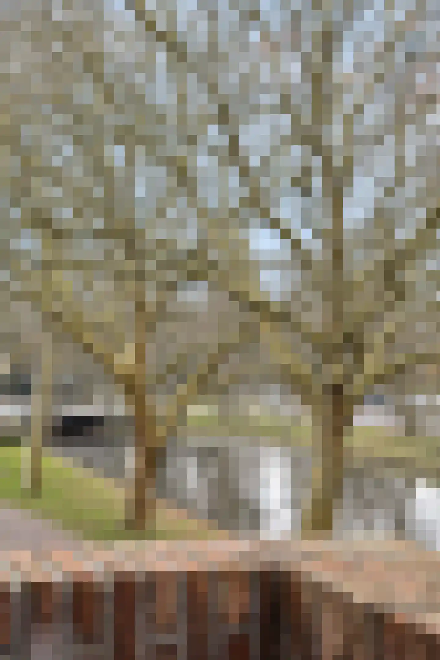 Purmersteenweg 2 Purmerend thumbnail 22