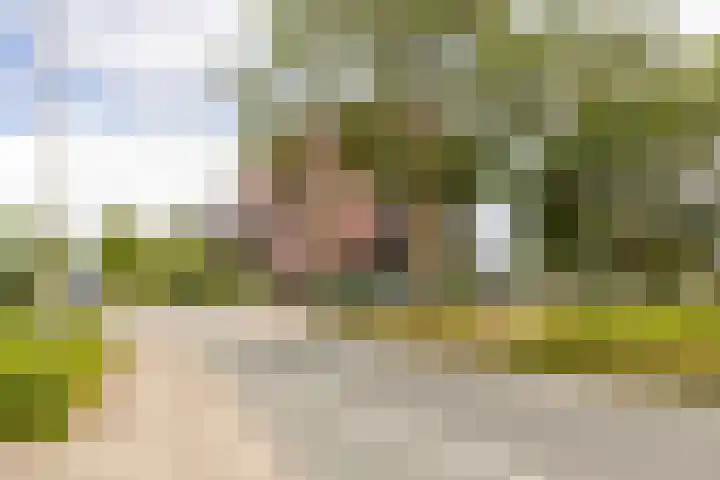 Purmerweg 88 Purmerend thumbnail 31