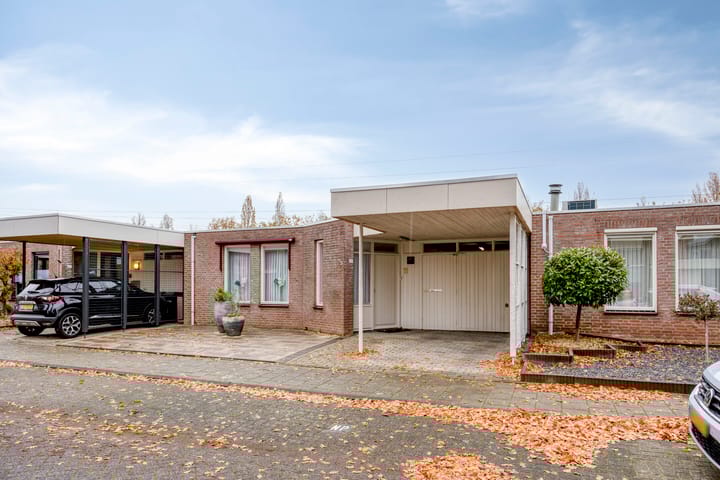 Purperbeer 29 dans Oss photo