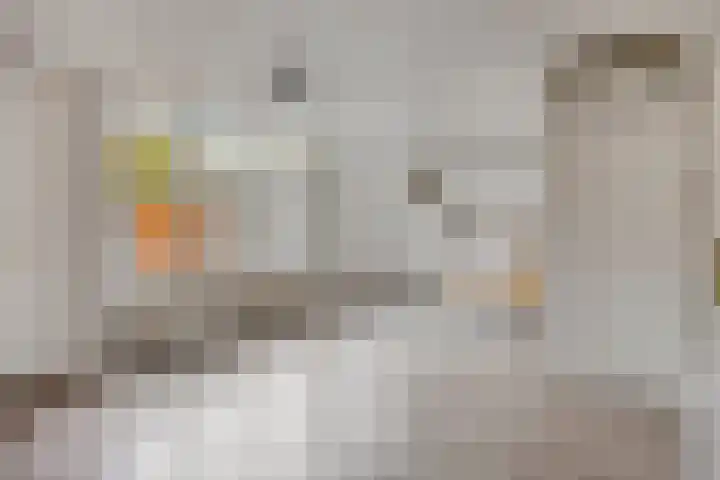 Purperbeer 29 Oss thumbnail 10