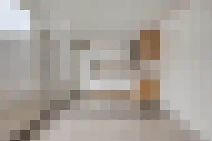 Purperbeer 29 Oss thumbnail 11