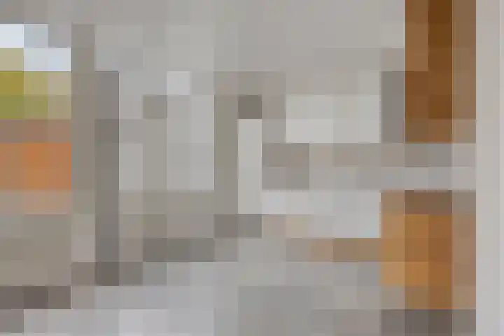 Purperbeer 29 Oss thumbnail 14