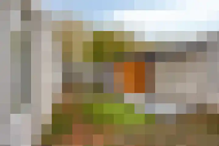 Purperbeer 29 Oss thumbnail 15