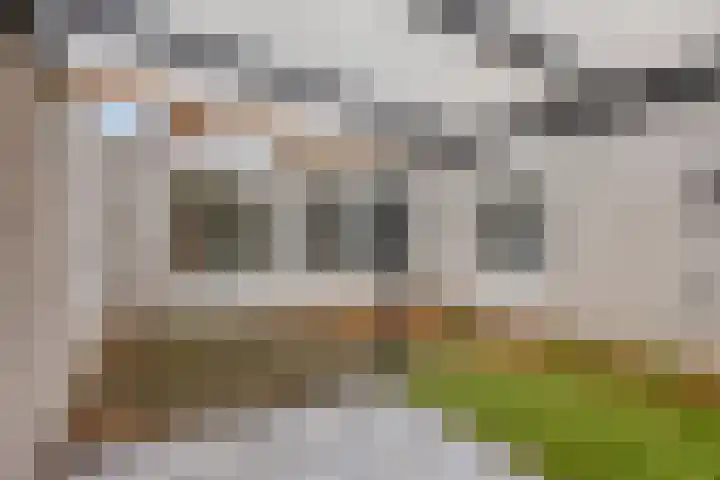 Purperbeer 29 Oss thumbnail 17