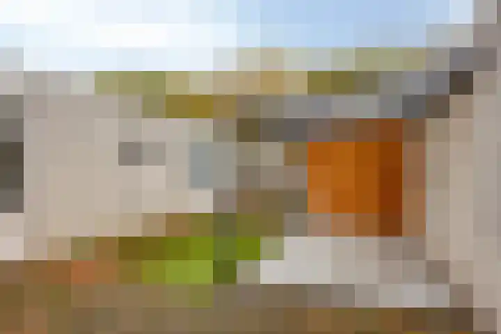Purperbeer 29 Oss thumbnail 18