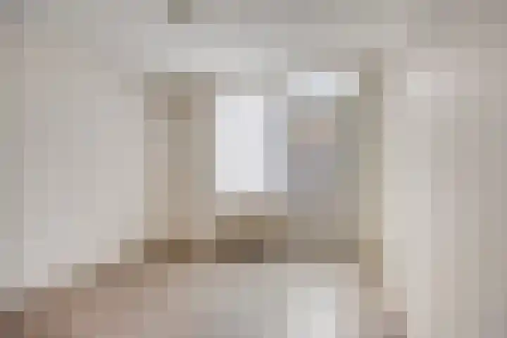 Purperbeer 29 Oss thumbnail 20