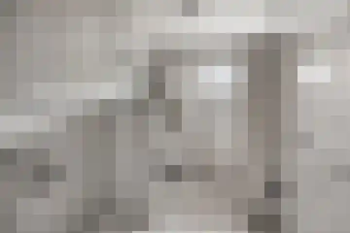Purperbeer 29 Oss thumbnail 22