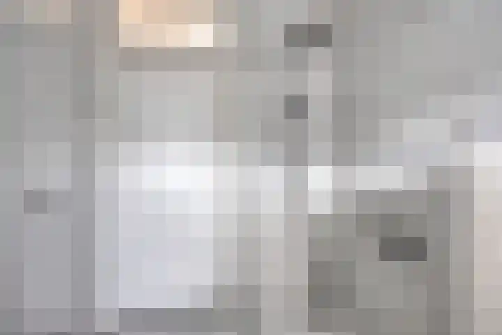 Purperbeer 29 Oss thumbnail 24