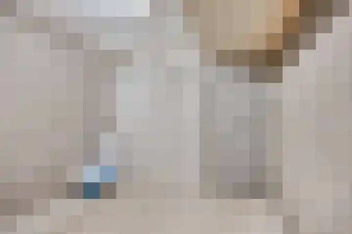 Purperbeer 29 Oss thumbnail 28