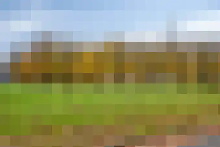Purperbeer 29 Oss thumbnail 31