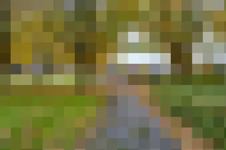 Purperbeer 29 Oss thumbnail 32