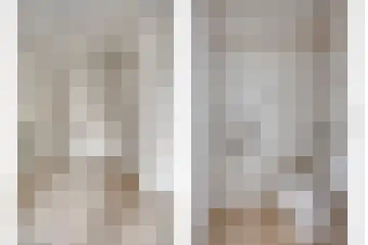 Purperbeer 29 Oss thumbnail 5