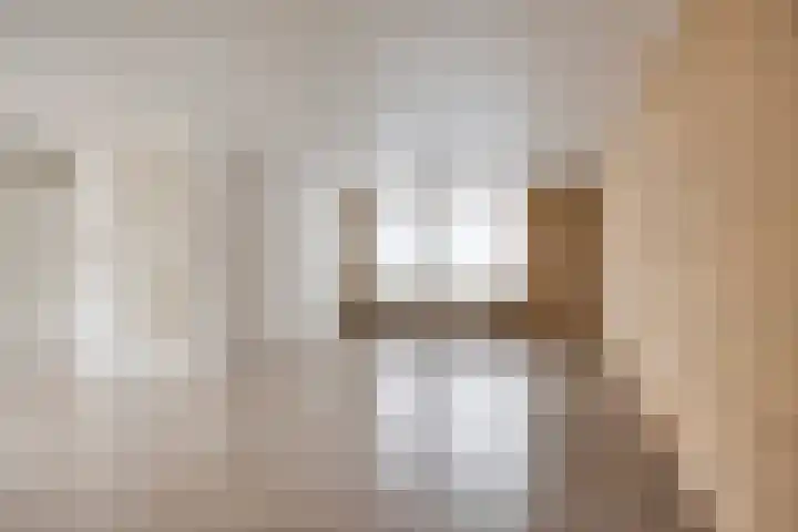 Purperbeer 29 Oss thumbnail 7