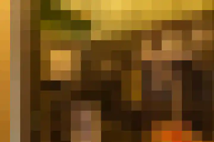 Purperforel 10 Leiden thumbnail 11