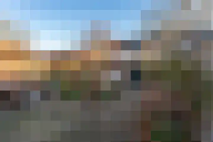 Purperforel 10 Leiden thumbnail 26
