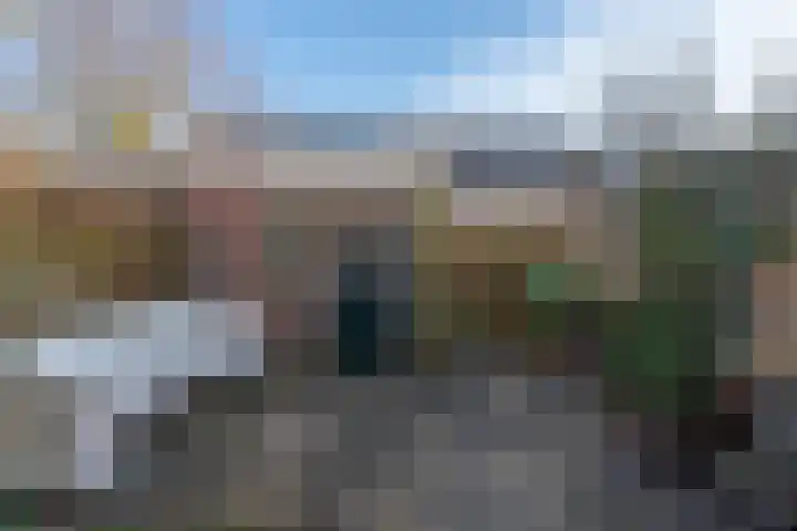Purperforel 10 Leiden thumbnail 27