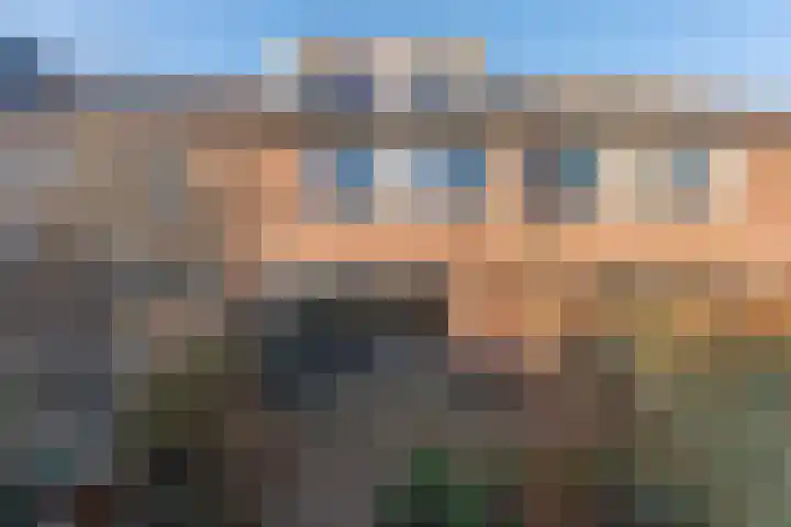 Purperforel 10 Leiden thumbnail 28