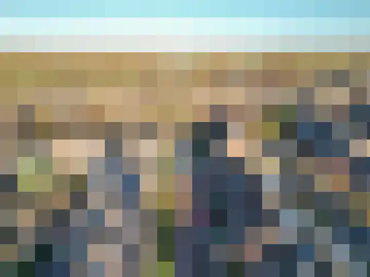 Purperforel 10 Leiden thumbnail 31