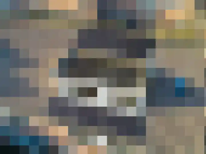 Purperforel 10 Leiden thumbnail 32