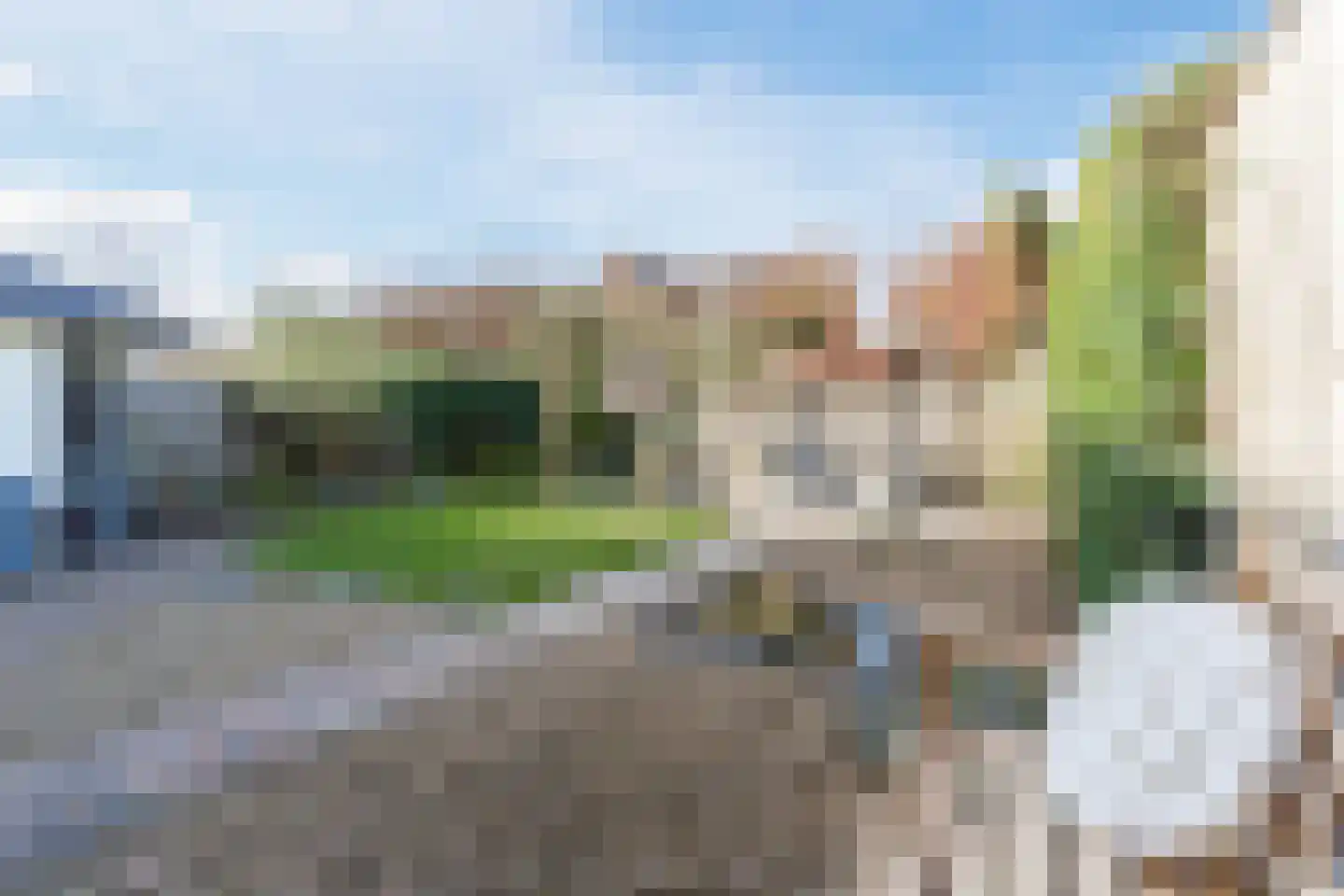 Purperhei 8 Best thumbnail 4