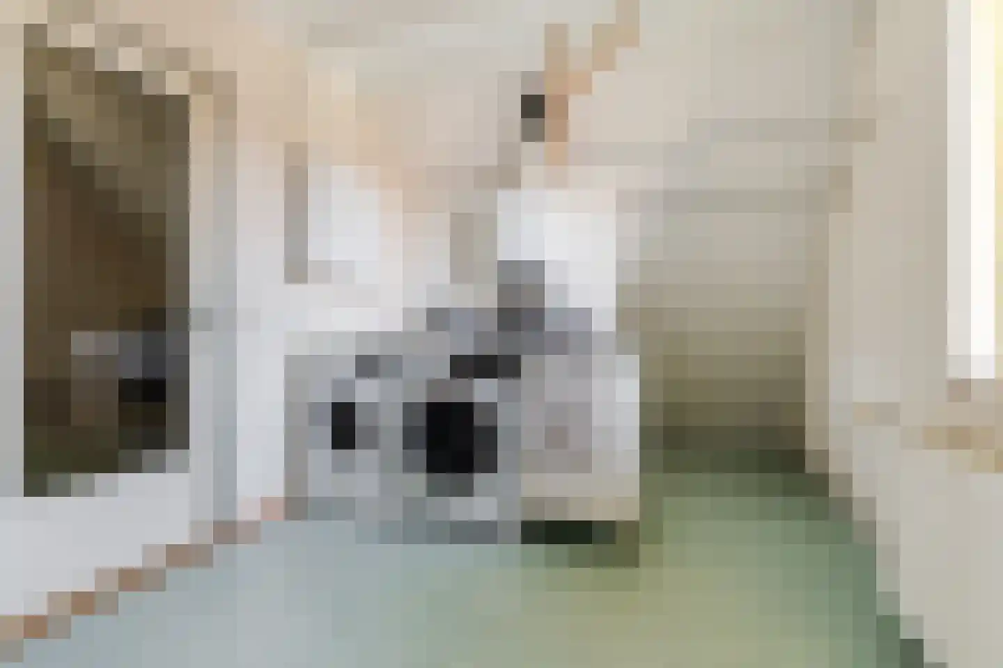 Purperhei 8 Best thumbnail 43