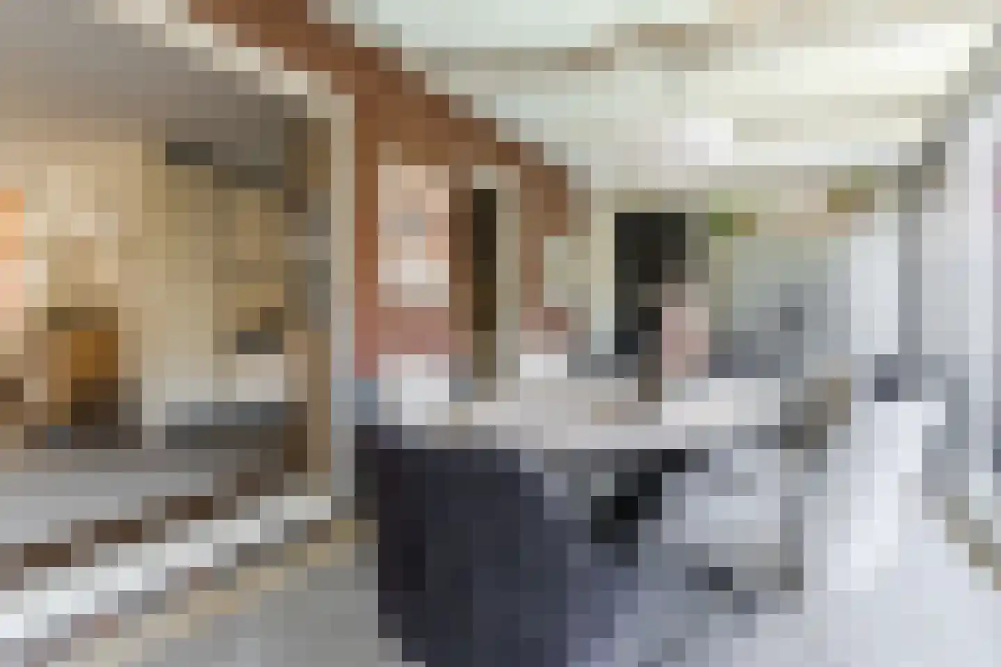 Purperhei 8 Best thumbnail 50