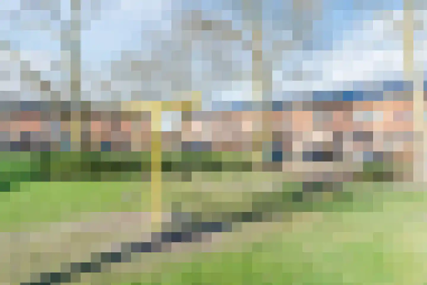 Purperhei 8 Best thumbnail 57