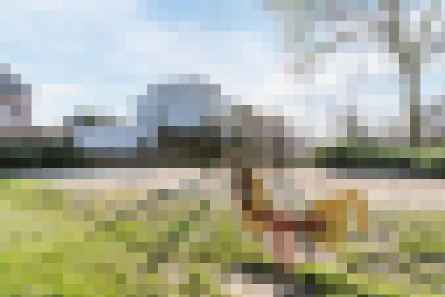 Purperhei 8 Best thumbnail 58
