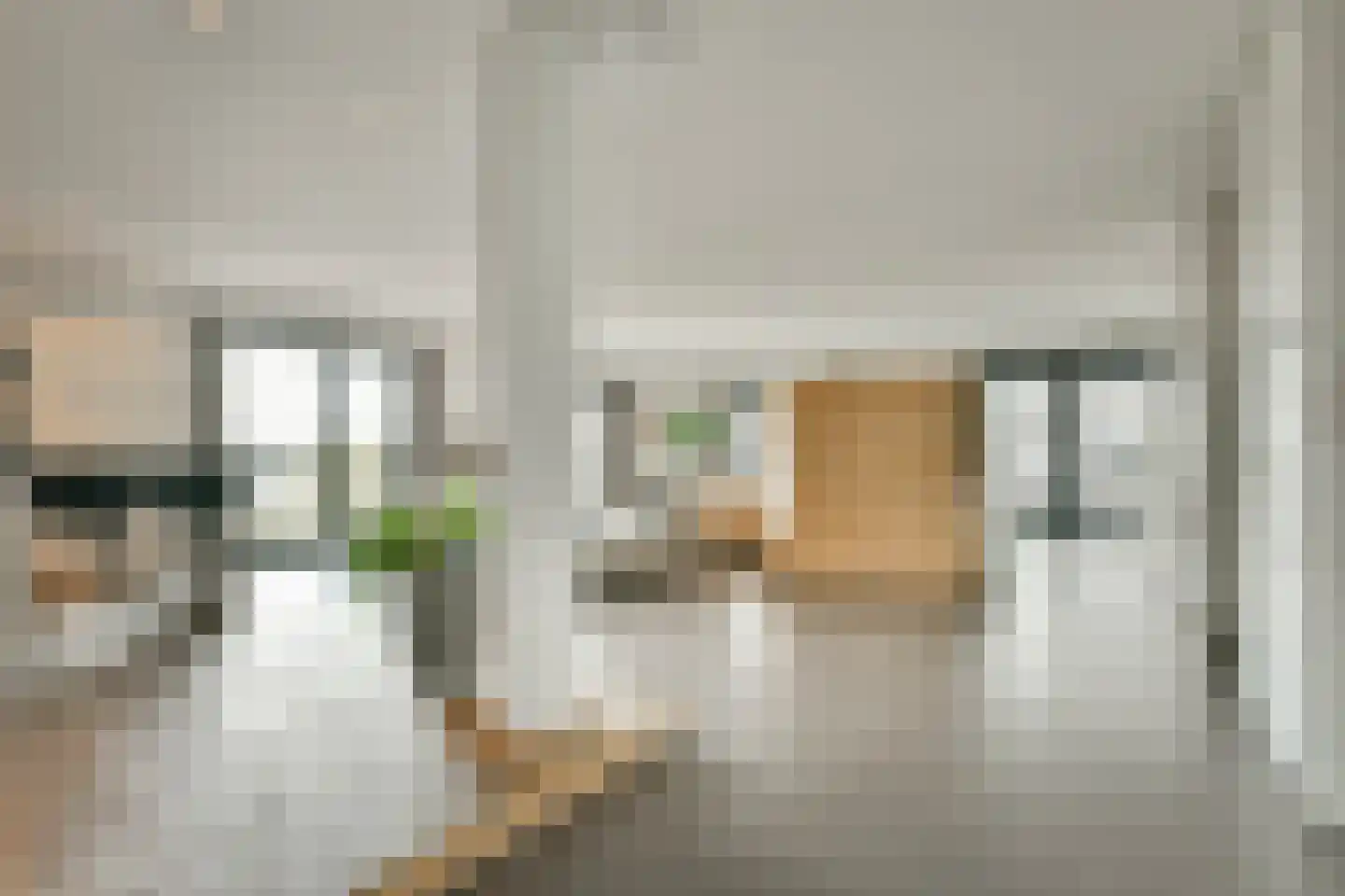 Purperhoedenveem 32 Amsterdam thumbnail 10