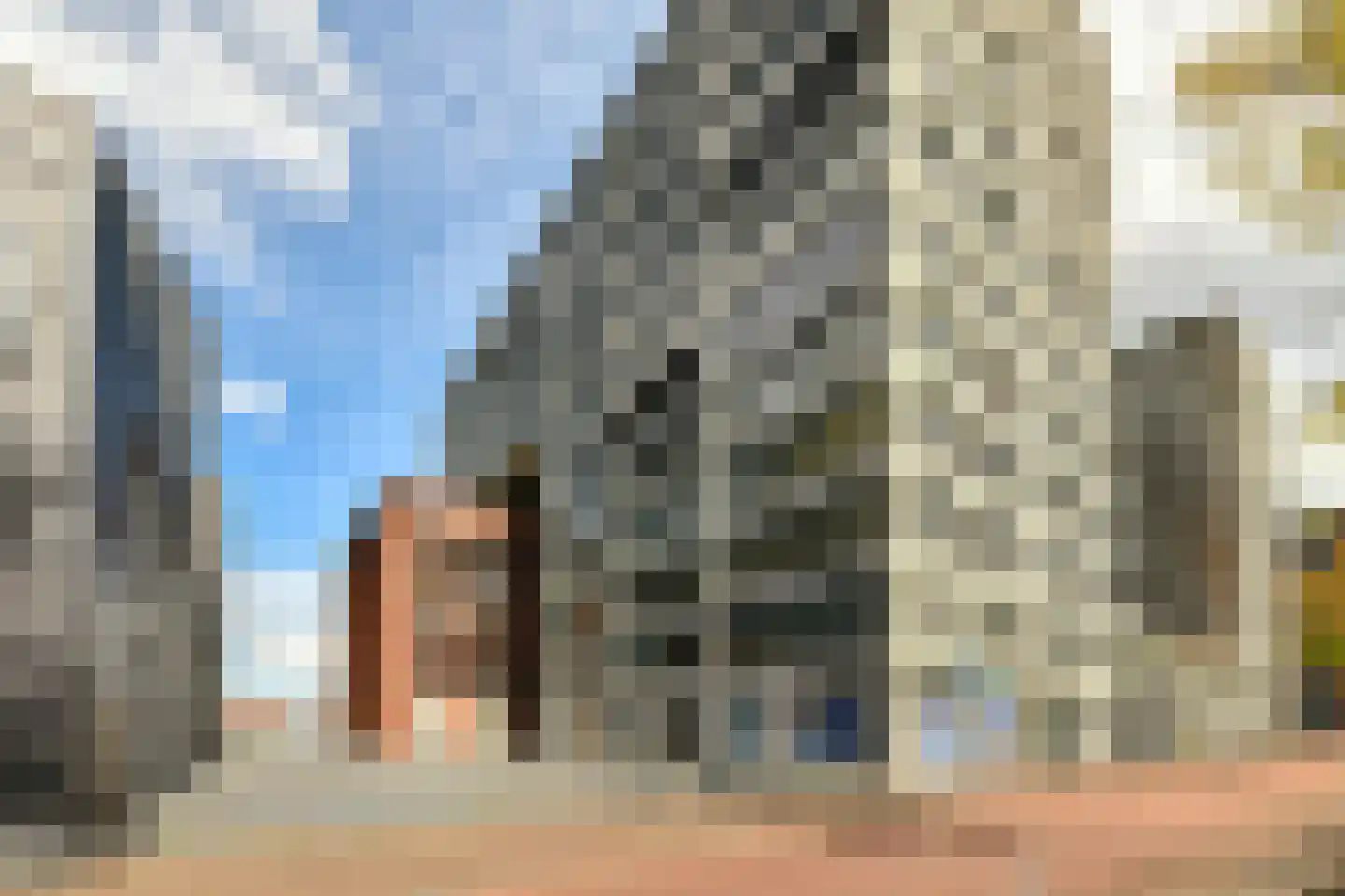 Purperhoedenveem 32 Amsterdam thumbnail 11