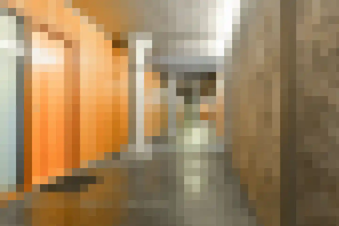 Purperhoedenveem 32 Amsterdam thumbnail 12
