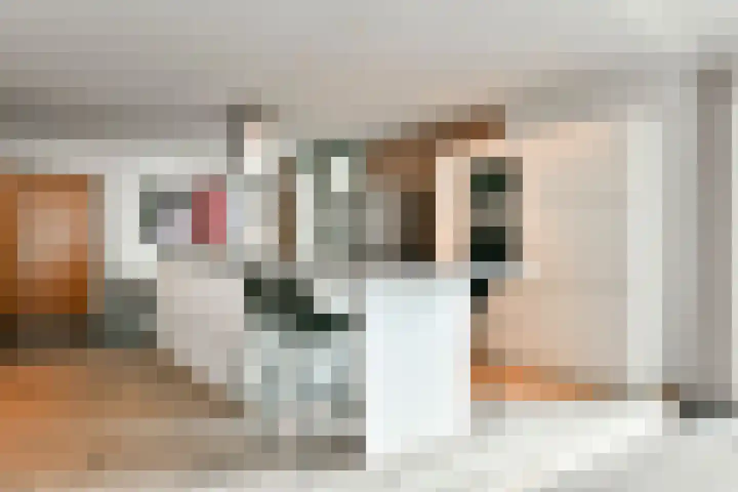 Purperhoedenveem 32 Amsterdam thumbnail 15