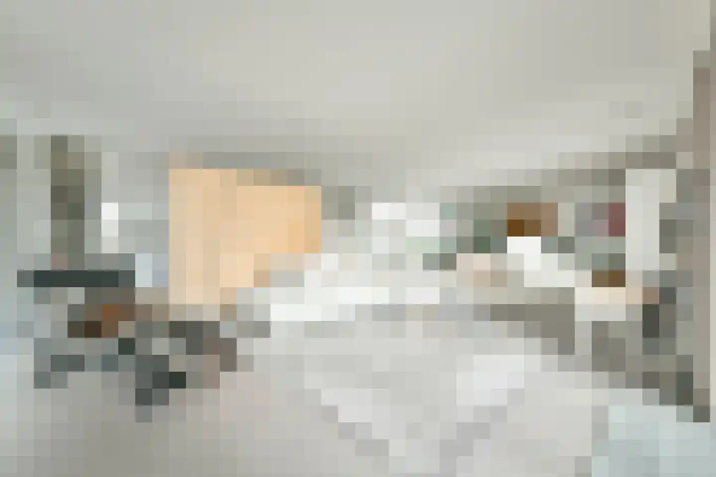 Purperhoedenveem 32 Amsterdam thumbnail 17